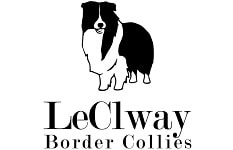 LECLWAY BORDER COLLIE KENNEL